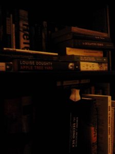 Night with Bookshelves_Article Portfolio
